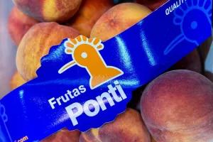 fruitimpex.com.ua