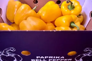 fruitimpex.com.ua