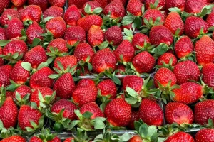 fruitimpex.com.ua полуниця