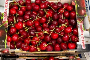 fruitimpex.com.ua  черешня