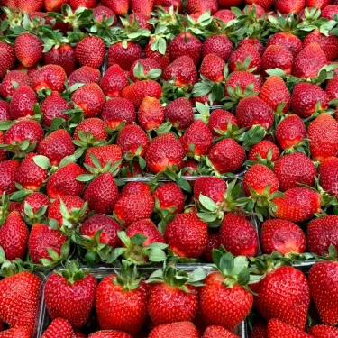 fruitimpex.com.ua полуниця