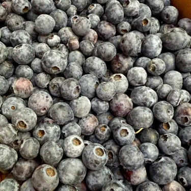 лохина fruitimpex.com.ua